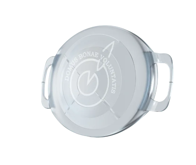 ArtiPLUS multifocal phakic intraocular lens - transparent lens render with iris-fixation haptics