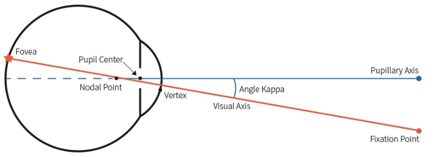 Diagram of the eye showing the visual axis from fixation point to fovea, distinct from the pupillary axis